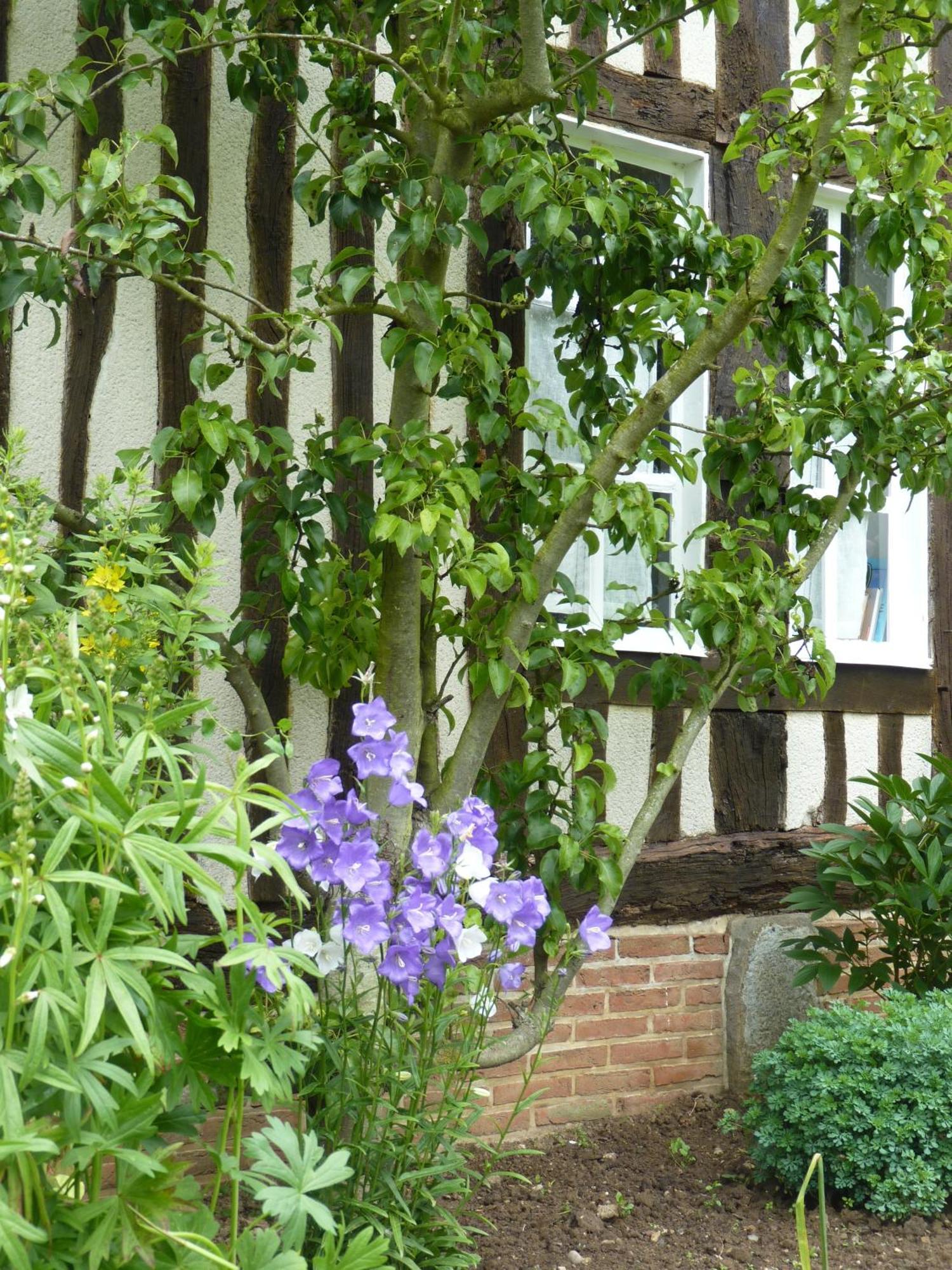 Bed and Breakfast La Charretterie Bacqueville-en-Caux Exterior foto